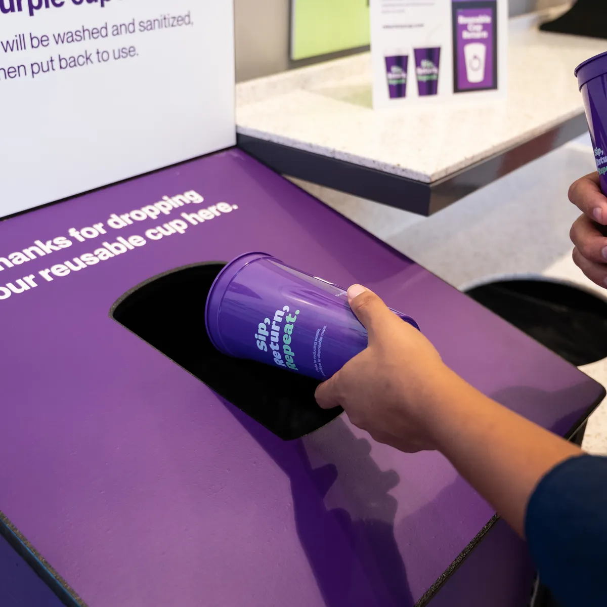 Purple reusable cups used in the Petaluma Reusable Cup Project in California