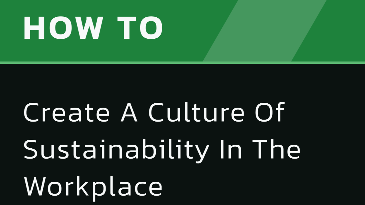 How to Create a Culture of Sustainability in the Workplace