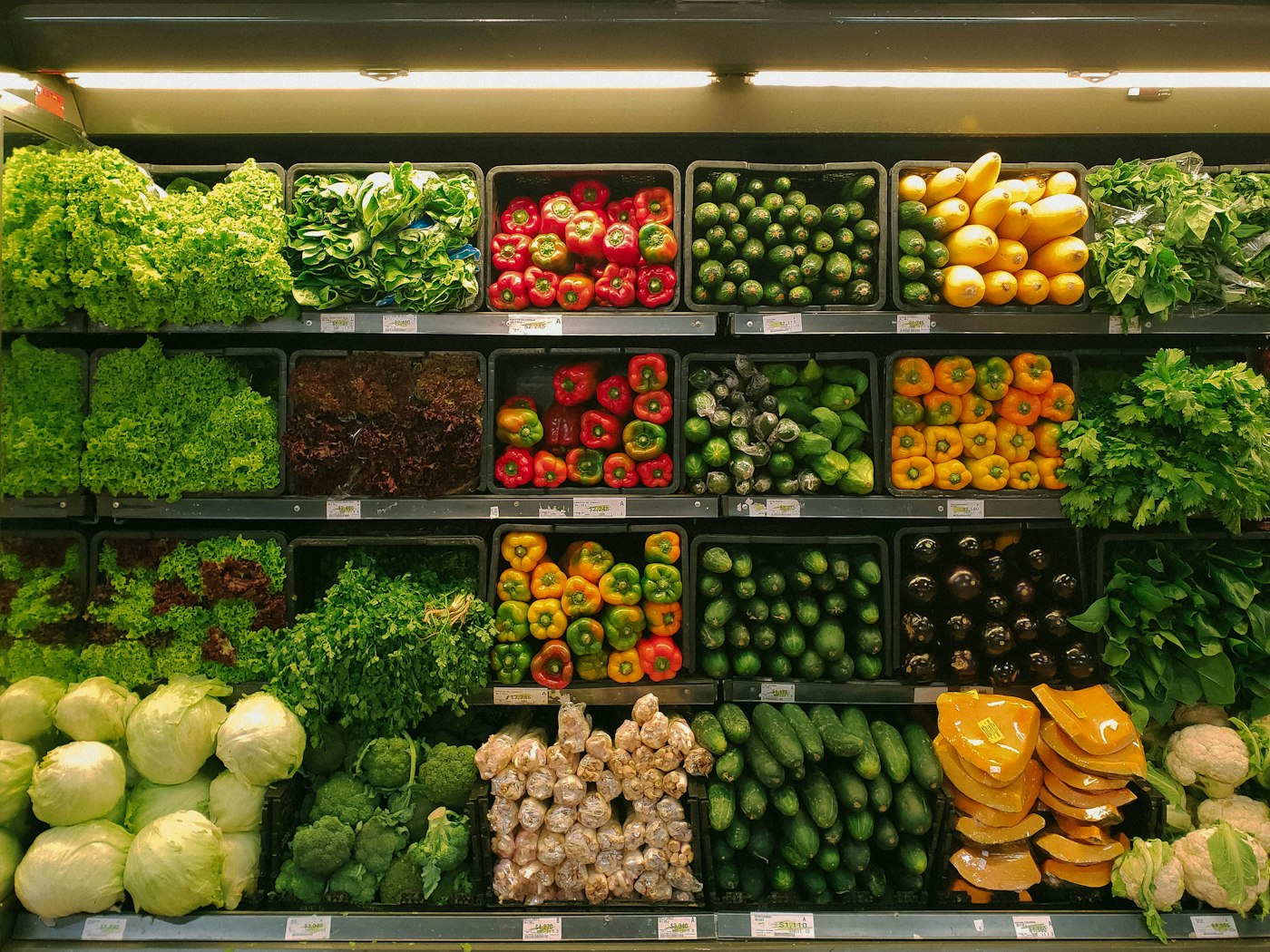 Food scraps and produce waste ready for collection